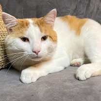 Thumbnail photo of Finley #4