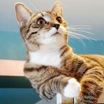 Thumbnail photo of Bootsy #3