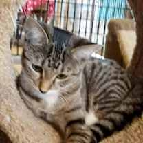 Thumbnail photo of Bootsy #4