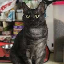 Thumbnail photo of Bonnie #1