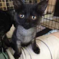 Thumbnail photo of Bonnie #4