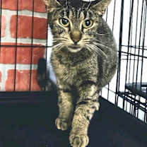 Thumbnail photo of Carla #1