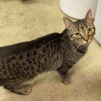 Thumbnail photo of Stormy #1