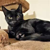Thumbnail photo of Phineas #1