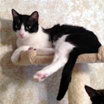 Thumbnail photo of Blake #2