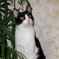 Thumbnail photo of Blake #3
