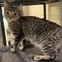 Thumbnail photo of Stormy #3
