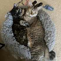 Thumbnail photo of Ella #2