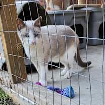 Thumbnail photo of Dora #3