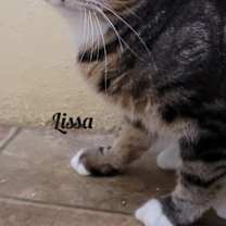 Thumbnail photo of Lissa #1