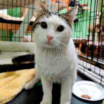 Thumbnail photo of Tony #1