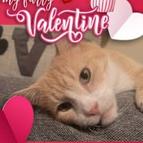Thumbnail photo of Clyde #2