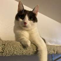 Thumbnail photo of Hope #3