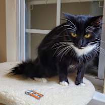 Thumbnail photo of Lovena #2