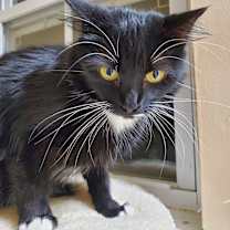 Thumbnail photo of Lovena #3