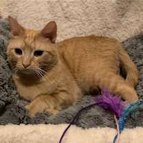 Thumbnail photo of Spice #1
