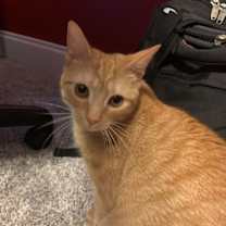 Thumbnail photo of Spice #2