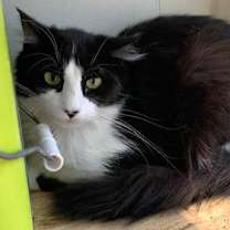 Thumbnail photo of Mila #2
