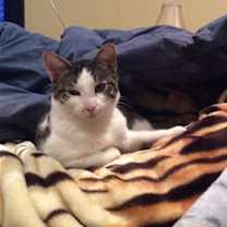 Thumbnail photo of Samy #1