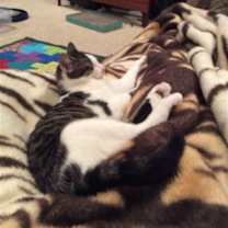 Thumbnail photo of Samy #2