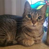 Thumbnail photo of Kiki #2