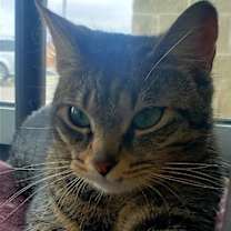 Thumbnail photo of Kiki #3