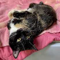 Thumbnail photo of Gabby #2