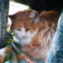 Thumbnail photo of Gadget #1