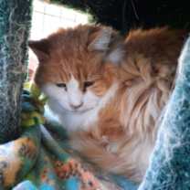 Thumbnail photo of Gadget #2
