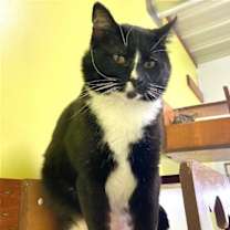 Thumbnail photo of Howard #2