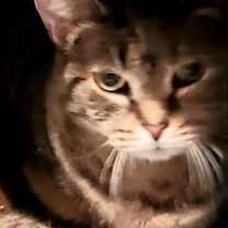 Thumbnail photo of Lydia #2