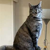 Thumbnail photo of Jenny #1