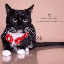 Thumbnail photo of MJ #4