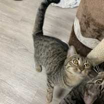Thumbnail photo of Dottie #3