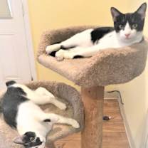 Thumbnail photo of Matilda #4