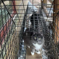 Thumbnail photo of Clark #1