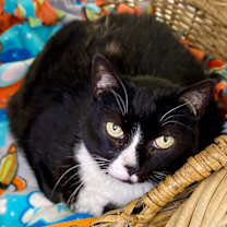 Thumbnail photo of Bea #1