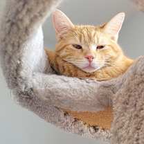 Thumbnail photo of Sprout #2