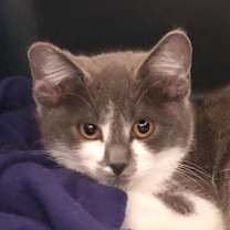 Thumbnail photo of Ruby #3