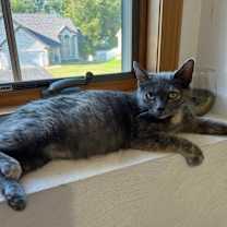 Thumbnail photo of MIA (Mama Mia) #2