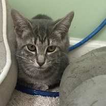 Thumbnail photo of Pawla #2
