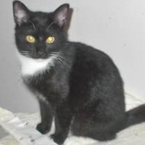 Thumbnail photo of Tally #4