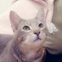 Thumbnail photo of Oso #1
