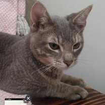 Thumbnail photo of Oso #2