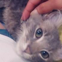 Thumbnail photo of Oso #3
