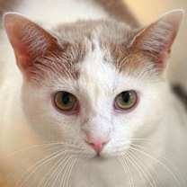 Thumbnail photo of Peyton #4