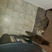 Thumbnail photo of Monica #1