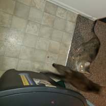 Thumbnail photo of Monica #3