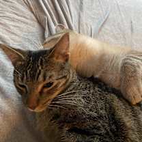 Thumbnail photo of Moe #3