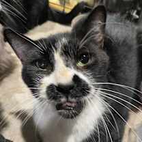 Thumbnail photo of Andy #2